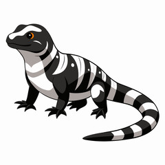Realistic full-body image of an Argentine Black and White Tegu on a white background