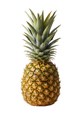 Fototapeta premium Pineapple whole fruit