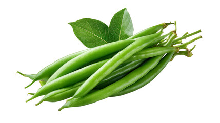 Fresh Green Beans Harvest (1)