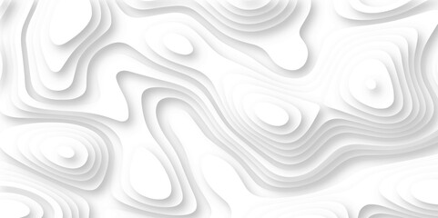 Abstract wavy line paper cut white background. Topographic geometric map relief texture with curved layers and shadow.  Abstract modern 3d Paper cut white background .white waves background .