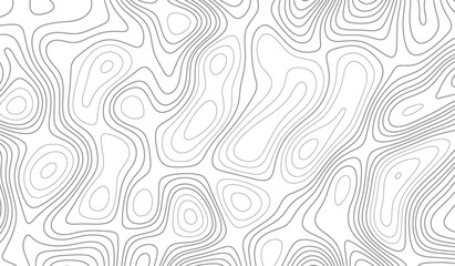 Topographic map background geographic line map with elevation assignments. Fish Fillet Texture, Salmon fillet texture, fish pattern. paper texture