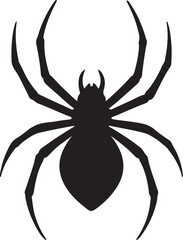 spider on a white background