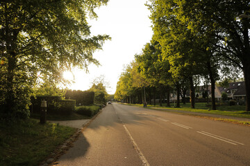 Empty road Netherlands neighborhood city explore town summer trees and grass at golden hour,...