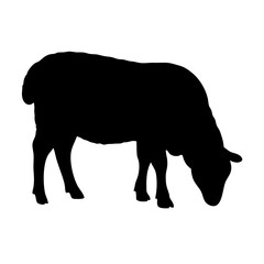 Sheep Silhouette Vector – Standing Black Farm Animal Clipart

