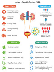 Urinary Tract Infection UTI Symptoms Causes and Prevention Medical Infographic for Health Education