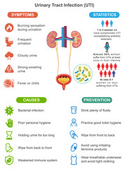 Urinary Tract Infection UTI Symptoms Causes and Prevention Medical Infographic for Health Education