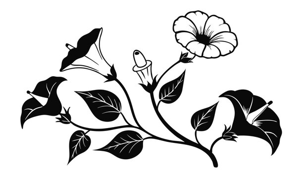 Elegant four o clock and moonflower trumpet shaped floral design