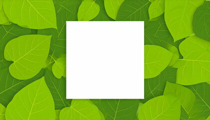 White Square Frame on Lush Green Leaf Background