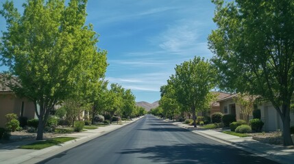 Fototapeta premium Tranquil Lane: Charming Residential Street Flanked by Lush Trees Beneath a Clear Blue Sky in Springtime America