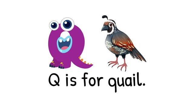 Alphabet Animation: Q is for Quail