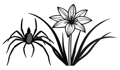 Elegant spider lily and rain lily floral illustration