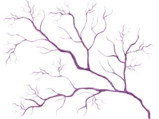 血管　 毛細血管 　静脈	
