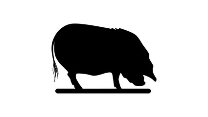 Kunekune pig, black isolated silhouette