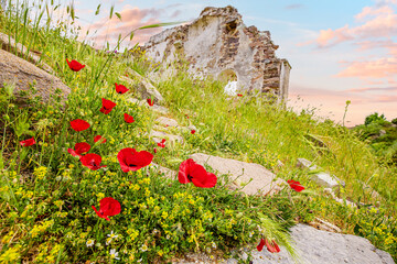 Fototapete bei efototapeten.de bestellen   