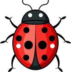 ladybug vector illustration