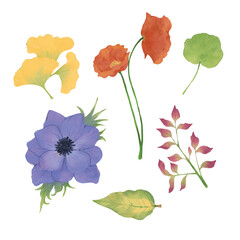 Watercolor Nature Elements – Colorful Botanical Flowers and Foliage Pack. Perfect for DIY wedding invitations, greeting cards, scrapbooking, textile design, packaging, and digital projects.