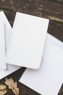 Self help books in a serene forest setting