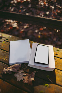 Self help books resting peacefully on a forest table