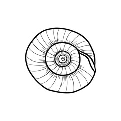 Obraz premium Spiral Seashell Icon