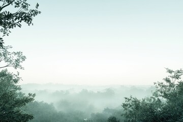 Misty forest vista framed by trees