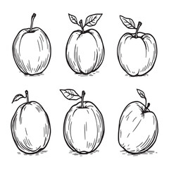 Minimalist nectarine drawing with clean line vector style