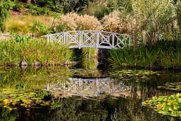 The Lily Pond is one of the nicest spots in the Royal Tasmanian Botanical Gardens - Hobart, Victoria, Australia