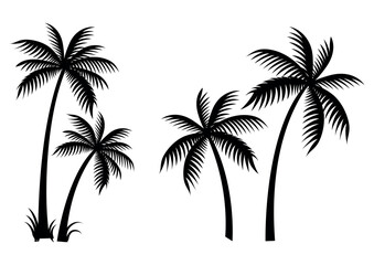 Palm tree silhouette vector illustration isolated on white backgroun