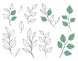 Collection of stylized leaves in white and teal green
