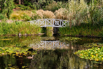 The Lily Pond is one of the nicest spots in the Royal Tasmanian Botanical Gardens - Hobart, Victoria, Australia