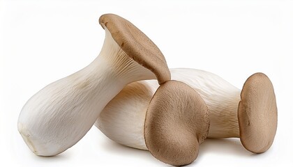 Fresh King Oyster Mushrooms Closeup Studio Shot White Background Healthy Eating Delicious Food Ingredients