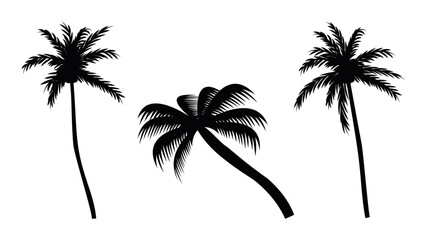 Palm tree silhouette vector illustration isolated on white backgroun