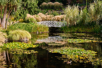 The white bridge across the Lily Pond in the Royal Tasmanian Botanical Gardens - Hobart, Victoria, Australia
