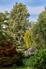 Rotunda under beautiful trees in the Royal Tasmanian Botanical Gardens - Hobart, Tasmania, Australia