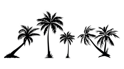 Palm tree silhouette vector illustration isolated on white backgroun