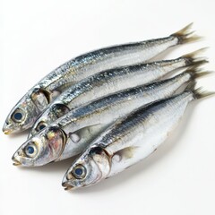 Fototapeta premium Fresh Sardines Silver Fish Group Of Four Healthy Source Protein