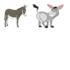 unfinished donkey