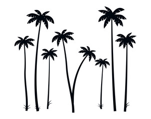 Palm tree silhouette vector illustration isolated on white backgroun