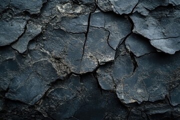 A close-up of cracked, dark gray earth, showing a dry, barren landscape