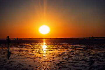 Golden Sunset Reflections on the Salt Lake Evoking Serenity and the Beauty of Nature's Palette at...