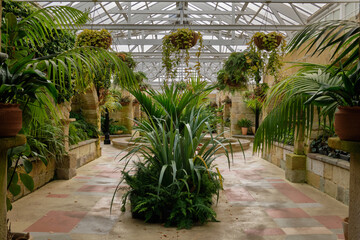 In the 1939 built Conservatory of the Botanical Gardens - Hobart, Tasmania, Australia