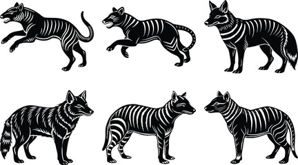 Tasmanian Tiger Silhouettes: Thylacine Extinct Animal Vector Art Illustration, Black and White Graphics, Wildlife Icon Set, Australian Fauna
