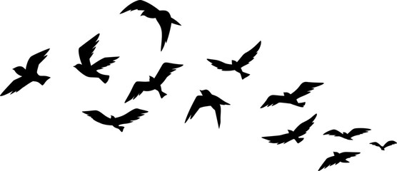 Fototapeta premium Flying Birds Silhouette