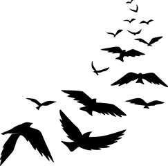 Flying Birds Silhouette