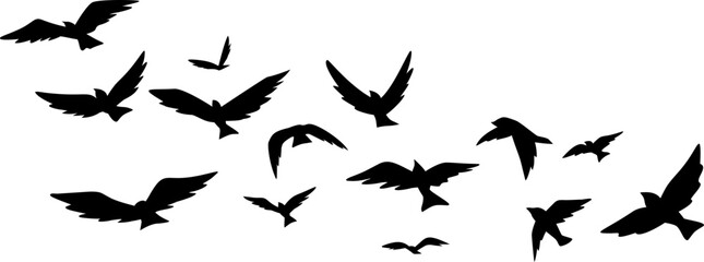Flying Birds Silhouette