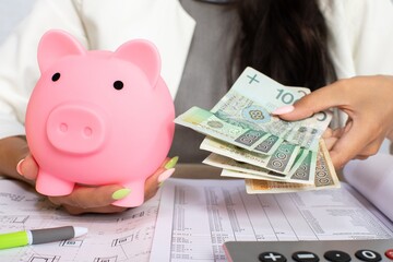 Saving Money Effectively A Closer Look at a Piggy Bank and Cash Management Strategies
