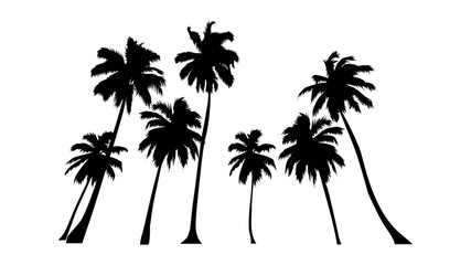 Palm tree silhouette vector illustration isolated on white backgroun