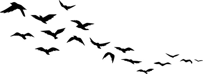 Flying Birds Silhouette