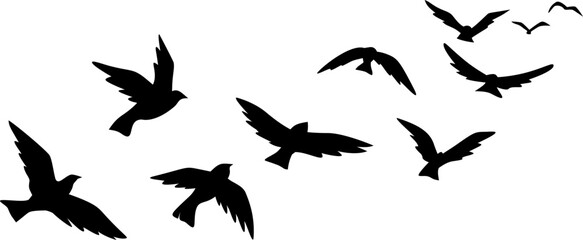 Flying Birds Silhouette