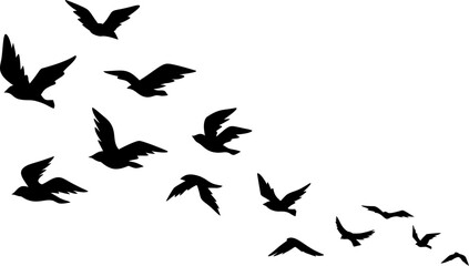 Flying Birds Silhouette