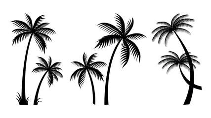 Fototapeta premium Palm tree silhouette vector illustration isolated on white backgroun